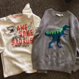 Dinosaur sweater and dinosaur long sleeve